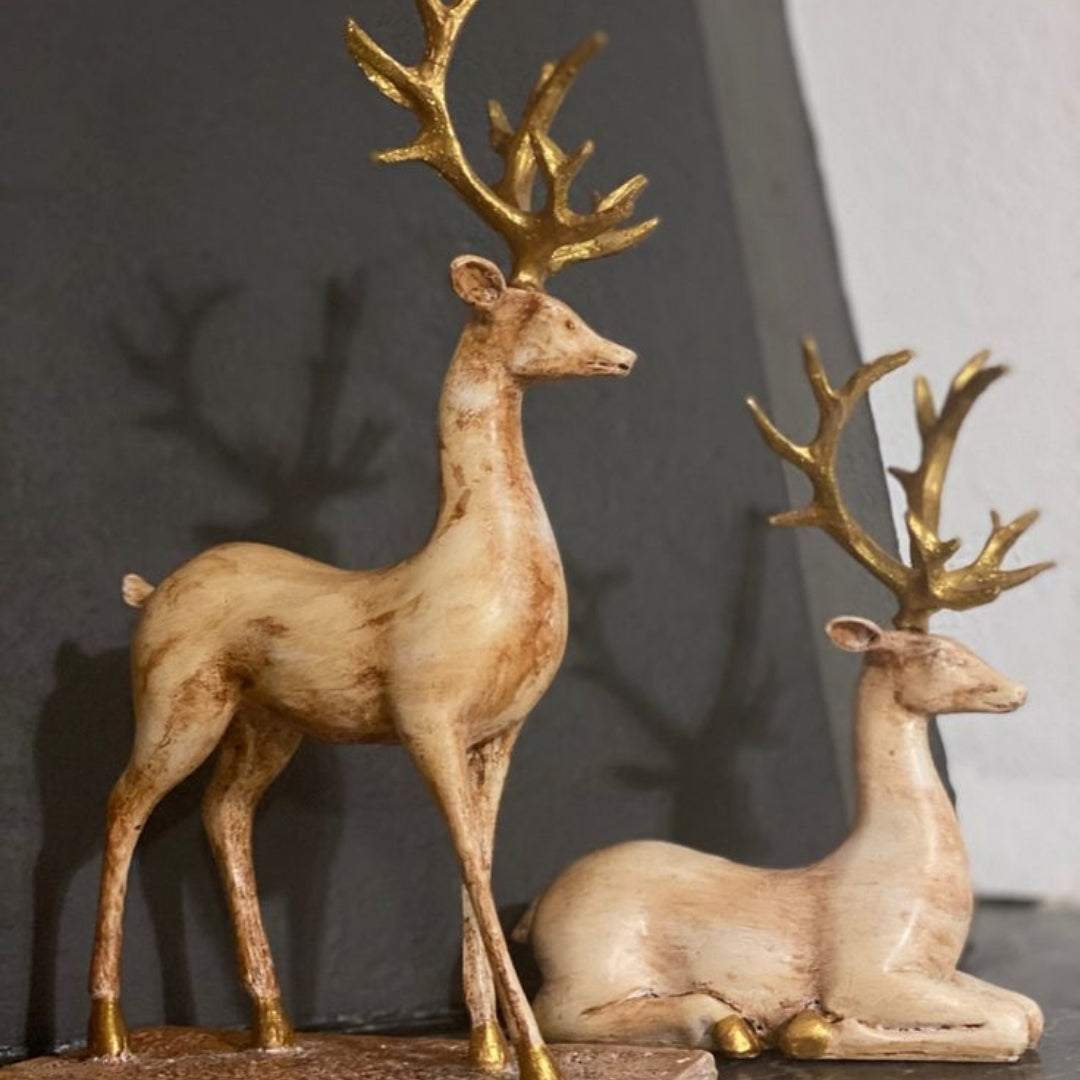 Decor collection